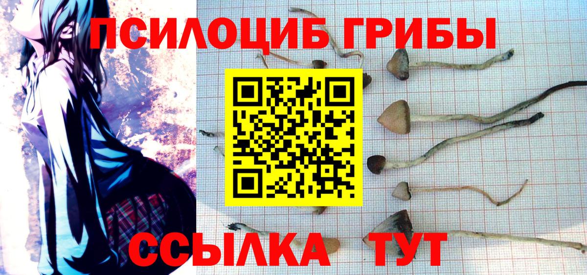 Псилоцибиновые грибы мухоморы  Вход с VPN  Петровск 