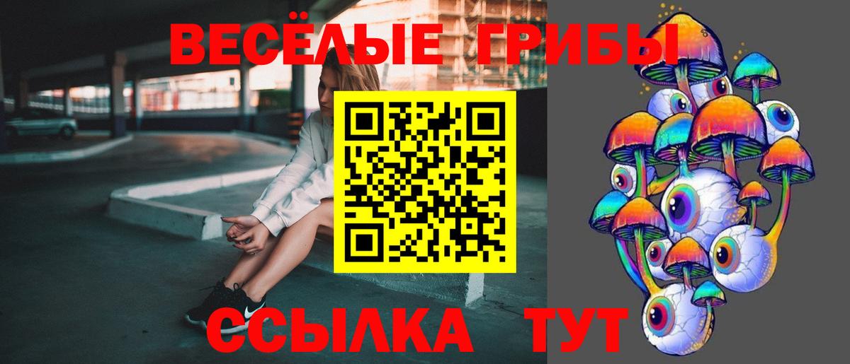 Псилоцибиновые грибы GOLDEN TEACHER Петровск